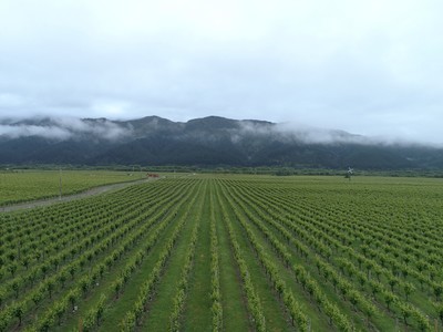 DJI_0960.JPG